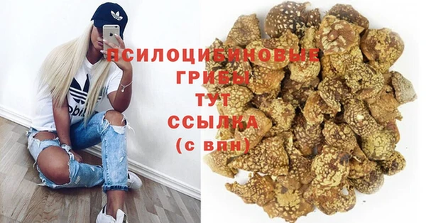прущая мука Абаза