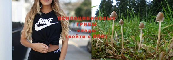 эйфоретик Абдулино